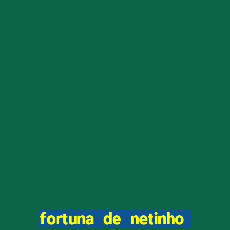 fortuna de netinho de paula